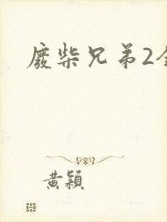 废柴兄弟2全集