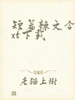 短篇辣文合集txt下载