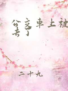 公交车上被插进去了