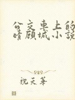 公交车上的诗请晴顾城小说阅读
