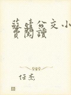 苏晴公交小说免费阅读