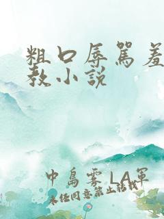 粗口辱骂羞辱调教小说