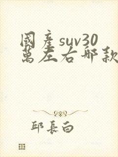 国产suv30万左右哪款好
