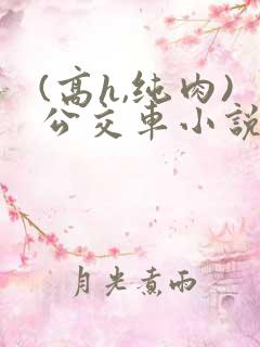 (高h,纯肉)公交车小说