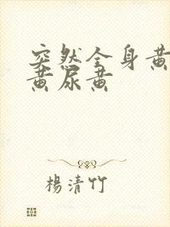 突然全身黄眼睛黄尿黄