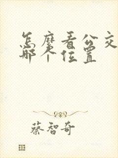 怎么看公交车在哪个位置
