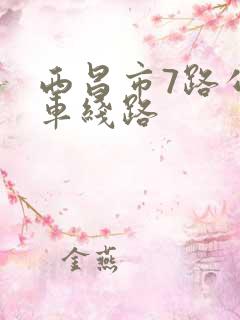 西昌市7路公交车线路