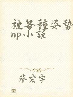 被各种姿势玩弄np小说