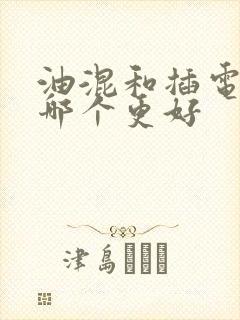 油混和插电混得哪个更好