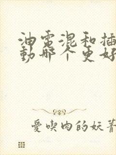 油电混和插电混动哪个更好