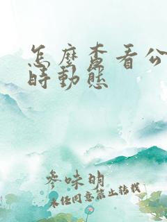怎么查看公交实时动态