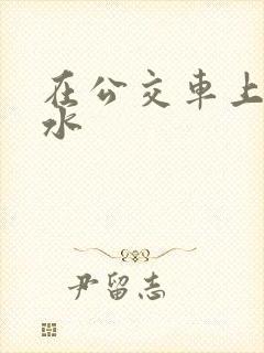 在公交车上摸出水