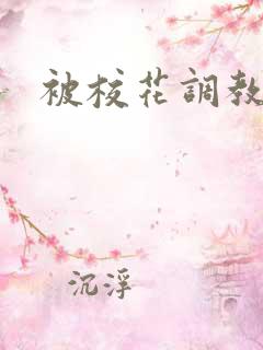 被校花调教小说