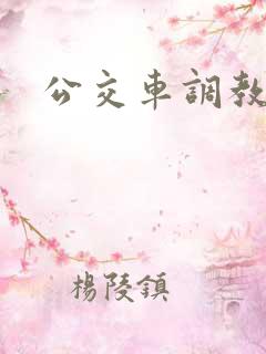 公交车调教np