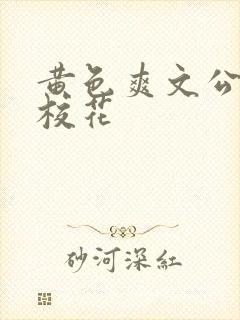 黄色爽文公交车校花