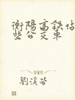 衡阳高铁站有哪些公交车