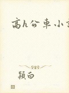 高h公车小说