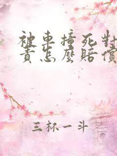 被车撞死对方全责怎么赔偿