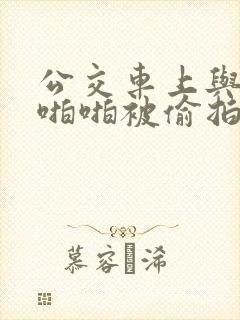 公交车上与少妇啪啪被偷拍
