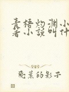 青梧灼渊小说原著小说叫什么名字