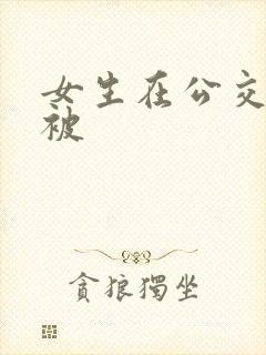 女生在公交车上被
