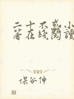 二十不惑小说原著在线阅读