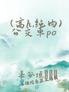 (高h,纯肉)公交车po