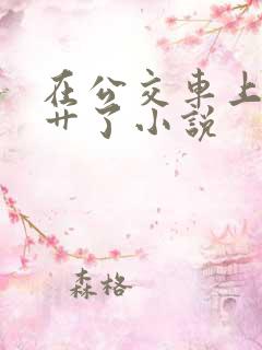 在公交车上被人艹了小说
