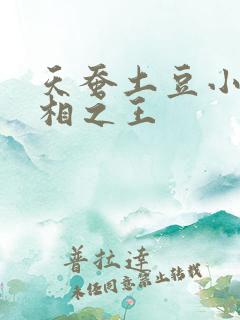 天蚕土豆小说万相之王