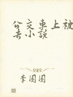 公交车上被插进去小说