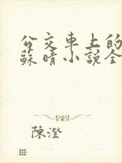公交车上的妈妈苏晴小说全文阅读下