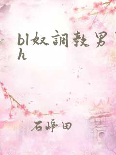 bl奴调教男男h