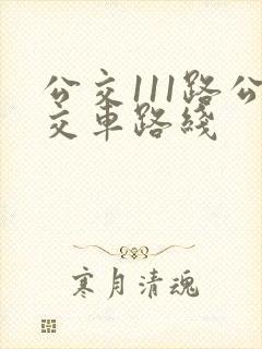 公交111路公交车路线