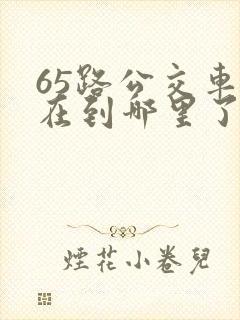 65路公交车现在到哪里了