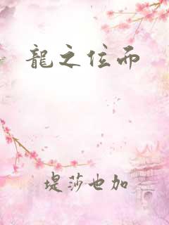 龙之位面