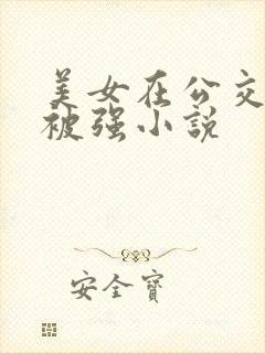 美女在公交车上被强小说