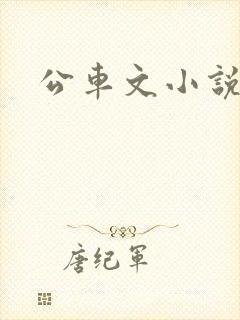 公车文小说
