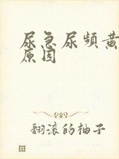 尿急尿频黄尿啥原因