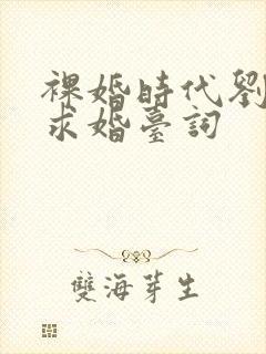裸婚时代刘易阳求婚台词