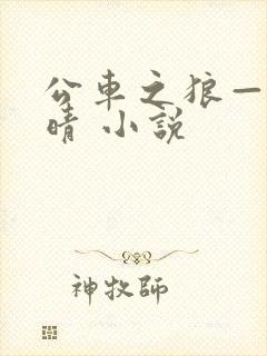 公车之狼——诗晴 小说