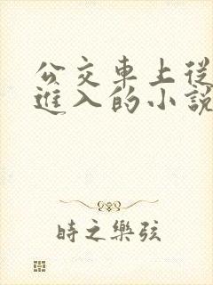 公交车上从后面进入的小说