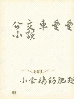 公交车爱爱口述小说