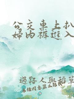 公交车上扒开少妇内裤进入