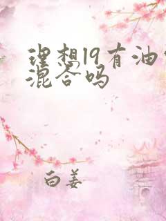 理想l9有油电混合吗