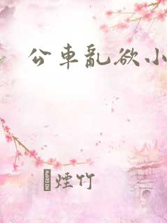 公车乱欲小说
