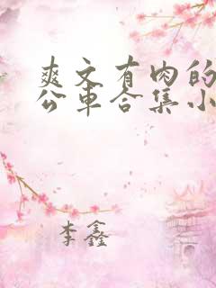 爽文有肉的短篇公车合集小说