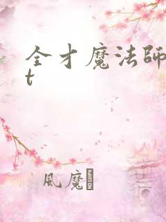 全才魔法师txt