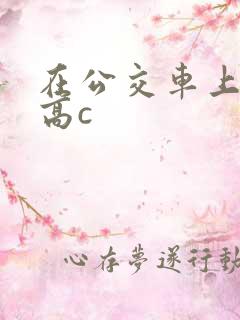 在公交车上达到高c