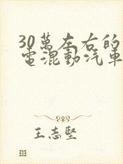 30万左右的油电混动汽车