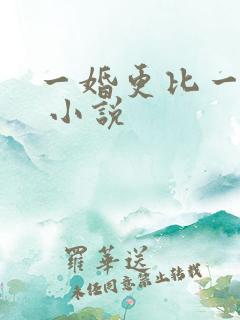 一婚更比一婚高 小说